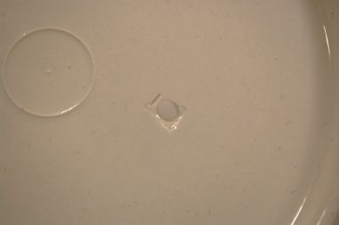 (n-7629) Boch F. la Louviere kollektsioontaldrik/ seinataldrik "Napoleon"