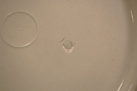 (n-7629) Boch F. la Louviere kollektsioontaldrik/ seinataldrik "Napoleon"