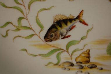 (n-7654/1) Bavaria Wunsiedel R Porcelaine, kalavaagen