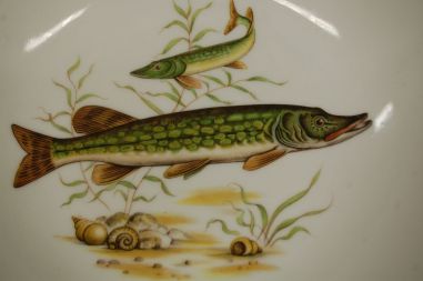 (n-7654/2) Bavaria Wunsiedel R Porcelaine, kalakauss