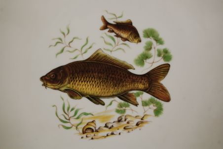 (n-7654/3) Bavaria Wunsiedel R Porcelaine, kala dekooriga suured praetaldrikud, 6tk