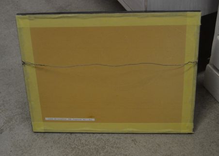 (P-1112) Viiralti trükirepro - Lamav akt kanepiriidel