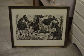 (P-1115)  Viiralti trükirepro Okaapid