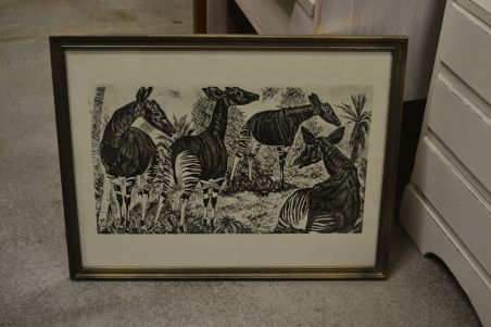 (P-1115)  Viiralti trükirepro Okaapid