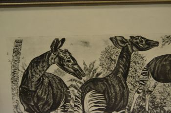 (P-1115)  Viiralti trükirepro Okaapid 2