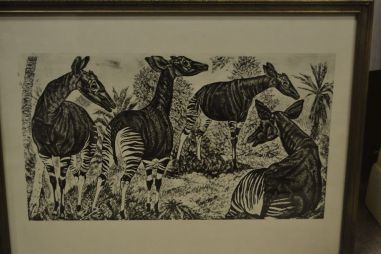 (P-1115)  Viiralti trükirepro Okaapid