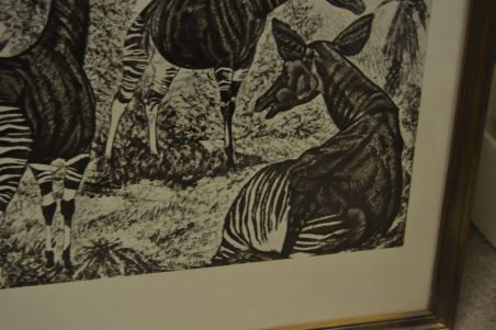 (P-1115)  Viiralti trükirepro Okaapid