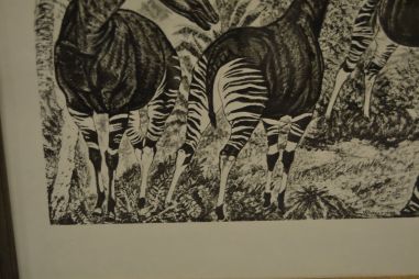 (P-1115)  Viiralti trükirepro Okaapid