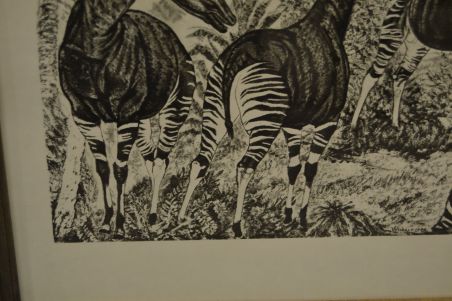 (P-1115)  Viiralti trükirepro Okaapid