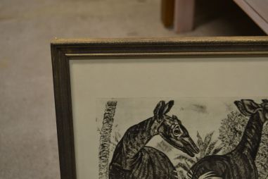 (P-1115)  Viiralti trükirepro Okaapid