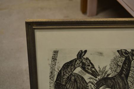 (P-1115)  Viiralti trükirepro Okaapid