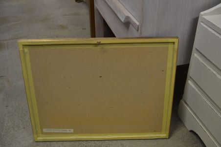 (P-1115)  Viiralti trükirepro Okaapid