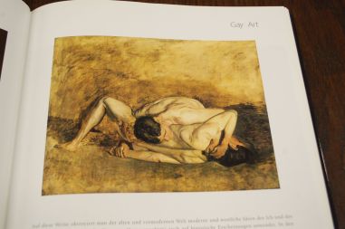 (n-7676) James Small, kõvakaaneline kunstiraamat "Gay art"