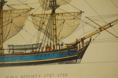(n-7678) H.A Muth, Purjelaev HMS Bounty raamitud värviline trükk