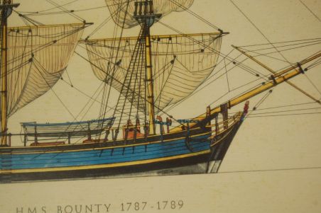 (n-7678) H.A Muth, Purjelaev HMS Bounty raamitud värviline trükk