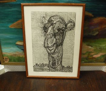 (P-1119) Viiralt, trükirepro Kaameli pea