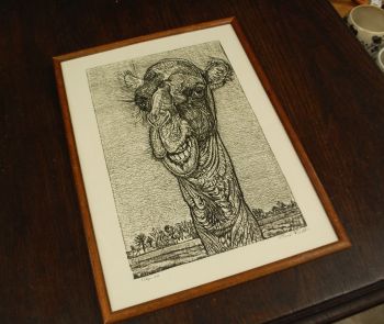 (P-1119) Viiralt, trükirepro Kaameli pea 2