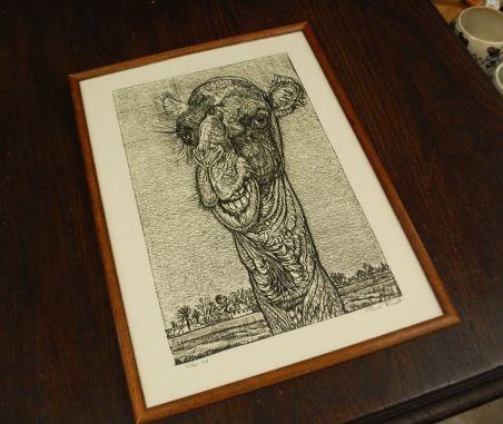 (P-1119) Viiralt, trükirepro Kaameli pea