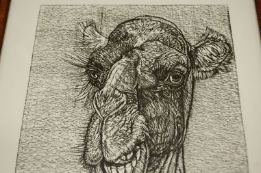 (P-1119) Viiralt, trükirepro Kaameli pea