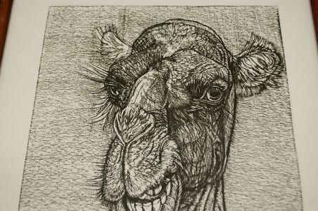 (P-1119) Viiralt, trükirepro Kaameli pea