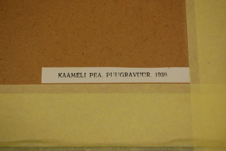(P-1119) Viiralt, trükirepro Kaameli pea