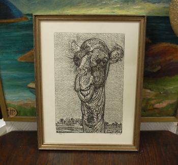 (P-1122) Viiralt, trükirepro Kaameli pea