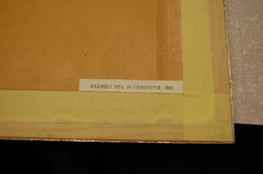 (P-1122) Viiralt, trükirepro Kaameli pea