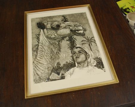 (P-1126) Viiralt, trükirepro Berberi tüdruk kaameliga