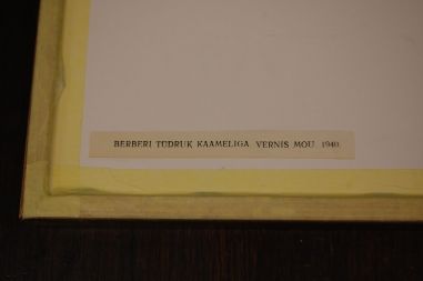 (P-1126) Viiralt, trükirepro Berberi tüdruk kaameliga