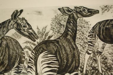 (P-1127) Viiralt, trükirepro Okaapid