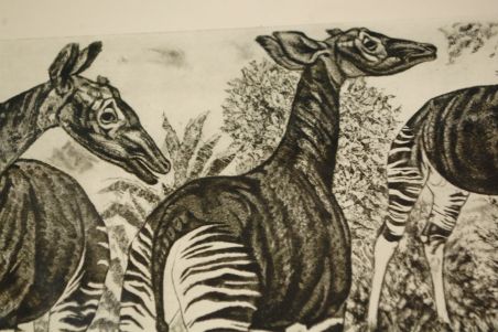 (P-1127) Viiralt, trükirepro Okaapid