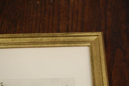 (P-1127) Viiralt, trükirepro Okaapid