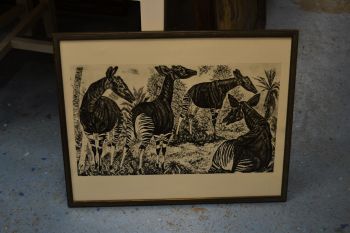 (P-1137) Viiralt, trükirepro Okaapid