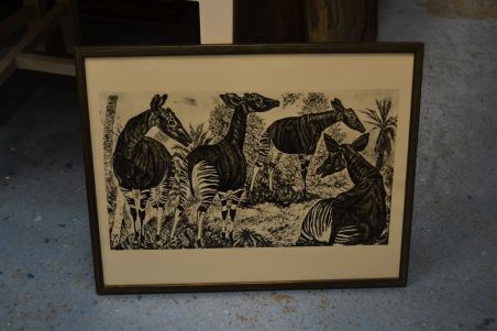 (P-1137) Viiralt, trükirepro Okaapid