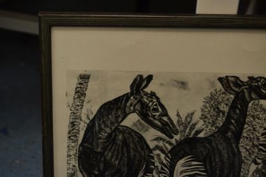 (P-1137) Viiralt, trükirepro Okaapid