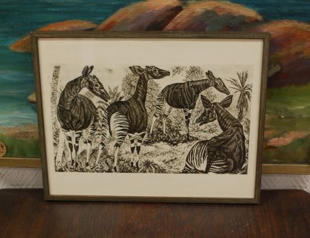 (P-1138) Viiralt, trükirepro Okaapid