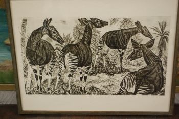 (P-1138) Viiralt, trükirepro Okaapid 2