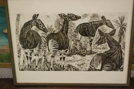 (P-1138) Viiralt, trükirepro Okaapid