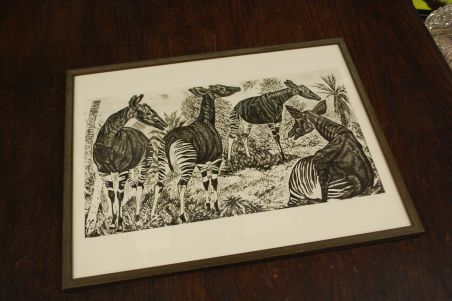 (P-1138) Viiralt, trükirepro Okaapid