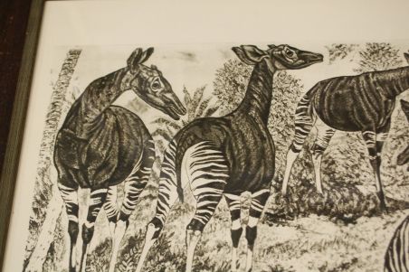 (P-1138) Viiralt, trükirepro Okaapid