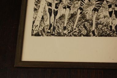 (P-1138) Viiralt, trükirepro Okaapid