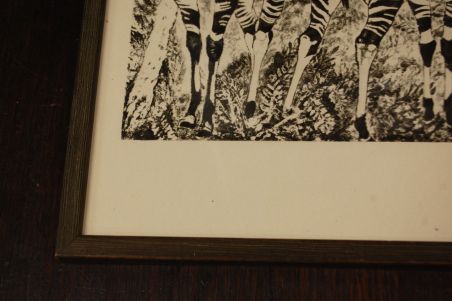 (P-1138) Viiralt, trükirepro Okaapid