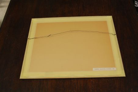 (P-1138) Viiralt, trükirepro Okaapid