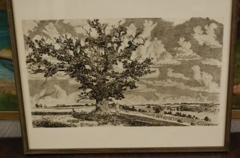 P-1139) Viiralt, trükirepro Viljandi maastik 2