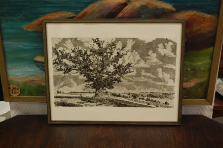 P-1139) Viiralt, trükirepro Viljandi maastik