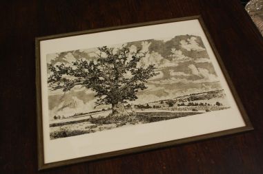 P-1139) Viiralt, trükirepro Viljandi maastik