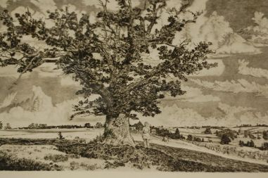 P-1139) Viiralt, trükirepro Viljandi maastik