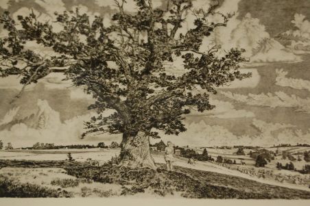 P-1139) Viiralt, trükirepro Viljandi maastik