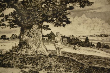 P-1139) Viiralt, trükirepro Viljandi maastik