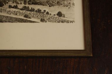 P-1139) Viiralt, trükirepro Viljandi maastik